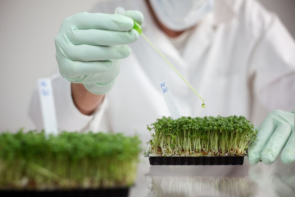 Placeholder for labonderzoek